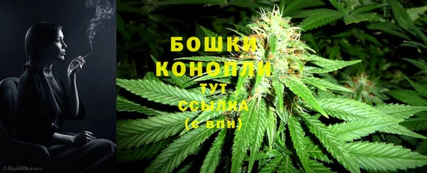 трава Верхний Тагил