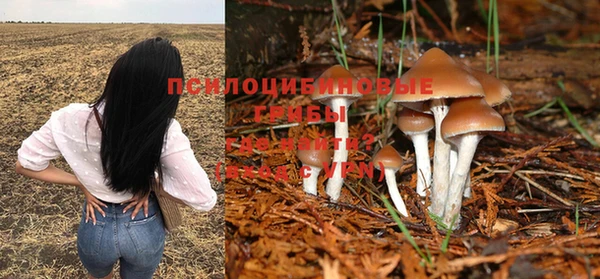 прущая мука Верея