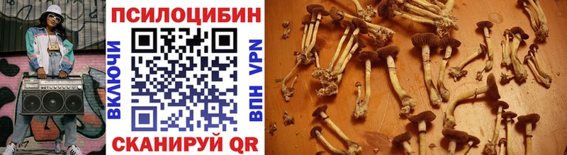 Псилоцибиновые грибы Magic Shrooms  Купить где  Горняк 